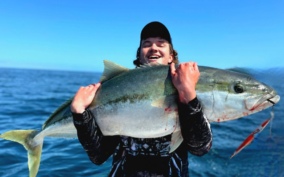 October Hauraki Gulf Kingi