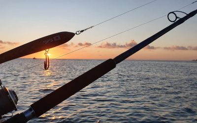 September 2022 – Fishing Report