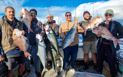 Hauraki Gulf Winter Fishing: How to Find July Workups